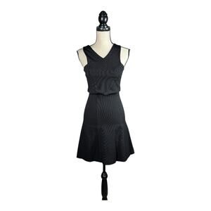 Sandro Sleeveless V-Neck Exposed Zipper Fit N Flare Dress New With Tags